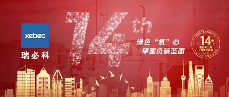瑞必科上海周年庆海报-横版
